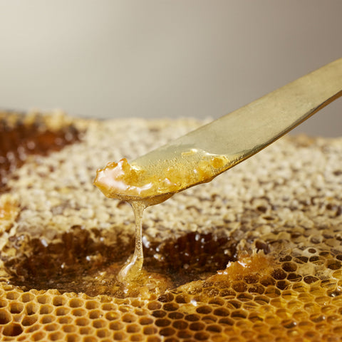 Kānuka Honey
